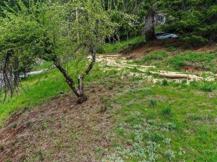 118 E. River St., Downieville, CA 95936 Photo