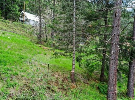 118 E. River St., Downieville, CA 95936 Photo