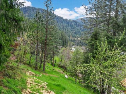 118 E. River St., Downieville, CA 95936 Photo