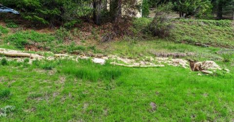 118 E. River St., Downieville, CA 95936 Photo