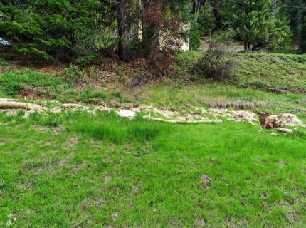 118 E. River St., Downieville, CA 95936 Photo