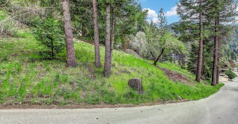 118 E. River St., Downieville, CA 95936 Photo