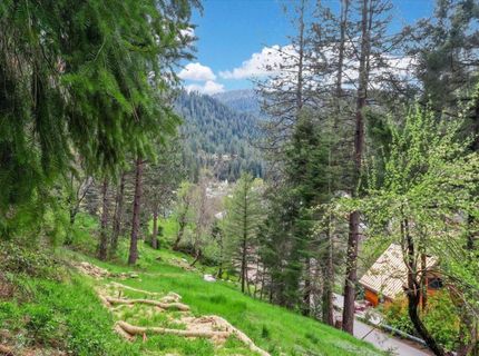 118 E. River St., Downieville, CA 95936 Photo