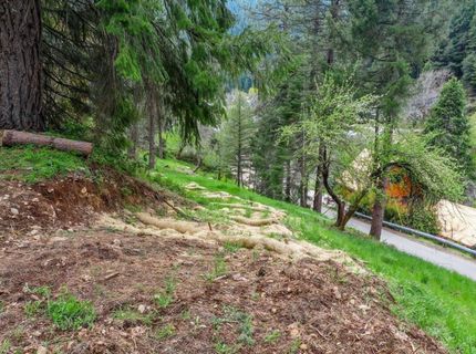 118 E. River St., Downieville, CA 95936 Photo