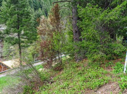 118 E. River St., Downieville, CA 95936 Photo