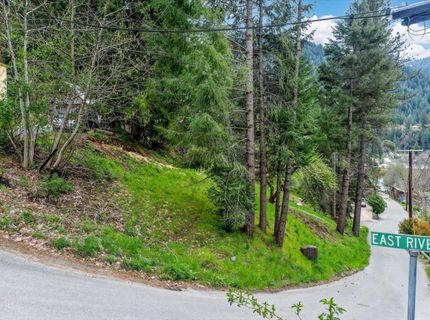 118 E. River St., Downieville, CA 95936 Photo