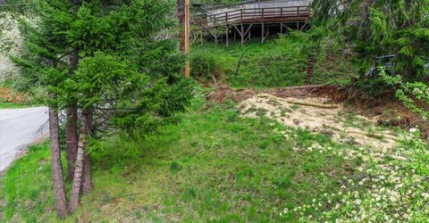 118 E. River St., Downieville, CA 95936 Photo