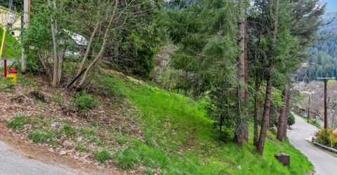 118 E. River St., Downieville, CA 95936 Photo