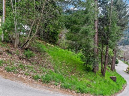 118 E. River St., Downieville, CA 95936 Photo