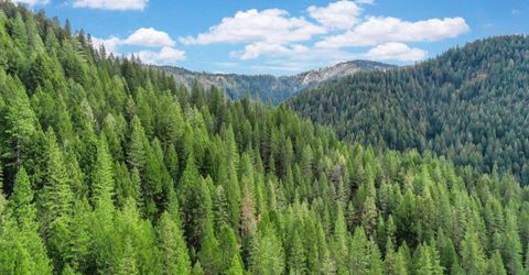 118 E. River St., Downieville, CA 95936 Photo