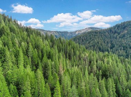 118 E. River St., Downieville, CA 95936 Photo