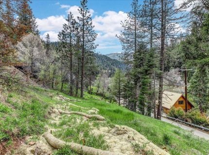 118 E. River St., Downieville, CA 95936 Photo