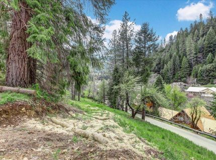 118 E. River St., Downieville, CA 95936 Photo