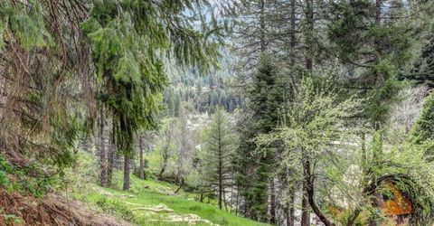 118 E. River St., Downieville, CA 95936 Photo