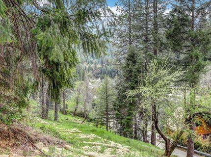 118 E. River St., Downieville, CA 95936 Photo