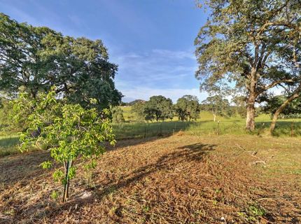 4875 Camanche Pkwy, Ione, CA 95640 Photo