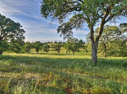 4875 Camanche Pkwy, Ione, CA 95640 Photo