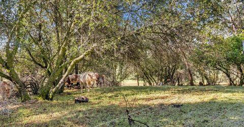 12320 Poppy Lane, Auburn, CA 95602 Photo