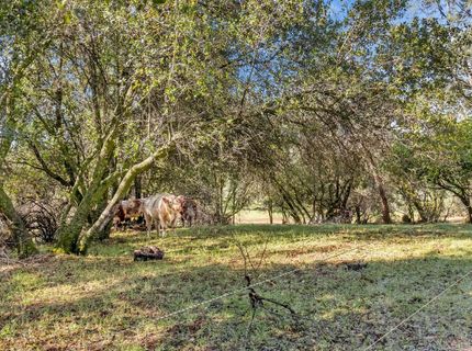 12320 Poppy Lane, Auburn, CA 95602 Photo