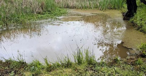 12320 Poppy Lane, Auburn, CA 95602 Photo