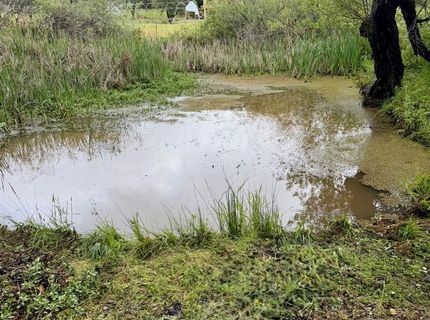 12320 Poppy Lane, Auburn, CA 95602 Photo