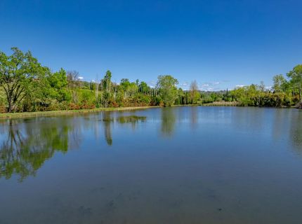 10665 Mount Vernon Rd, Auburn, CA 95603 Photo