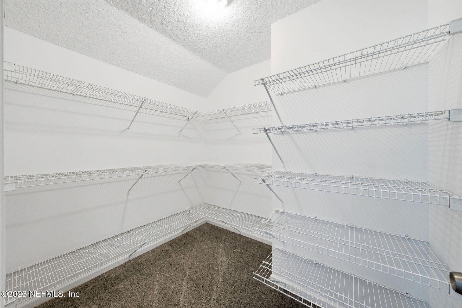 7907 Dawsons Creek Drive, Jacksonville, FL 32222 Photo