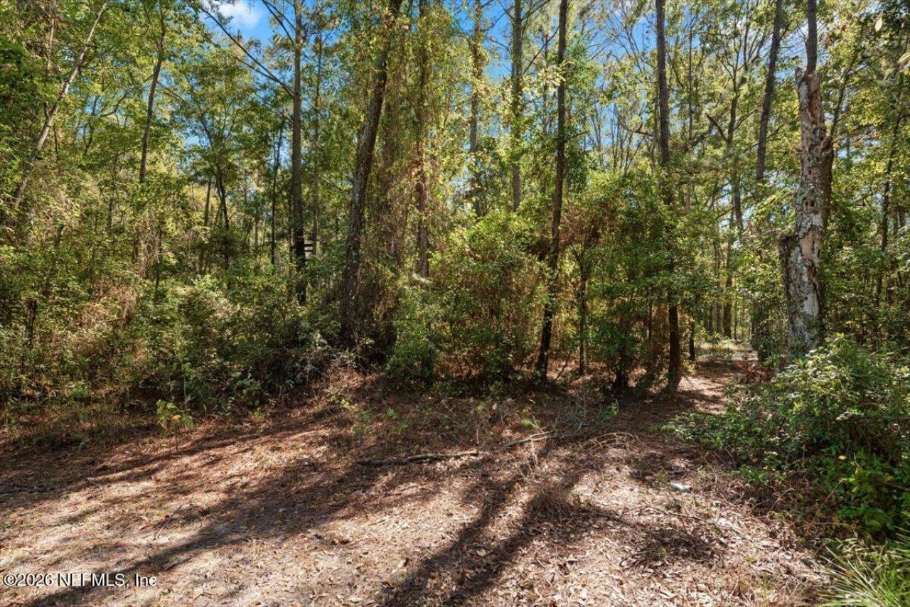 45116 Kilpatrick Road, Callahan, FL 32011 Photo