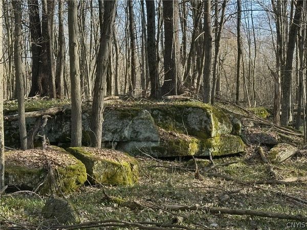 Lead Mine Rd, Redwood, NY 13679