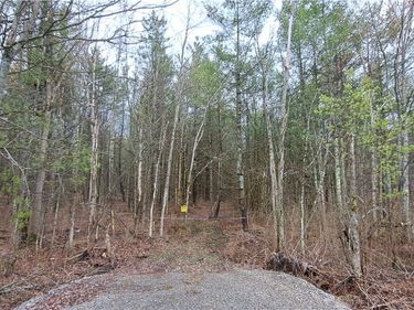 Lead Mine Rd, Redwood, NY 13679