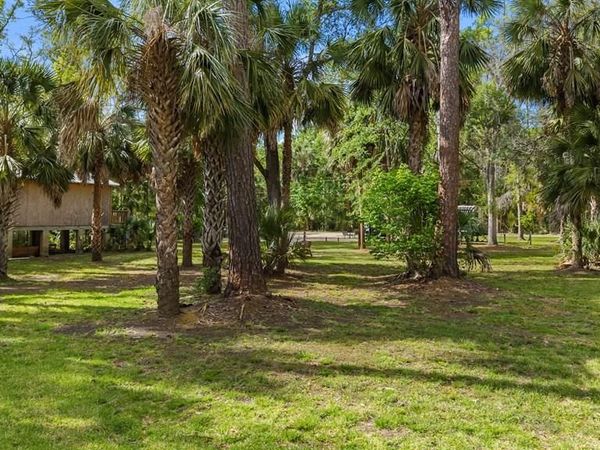 1468 NE JR Howell Rd, Steinhatchee, FL 32359