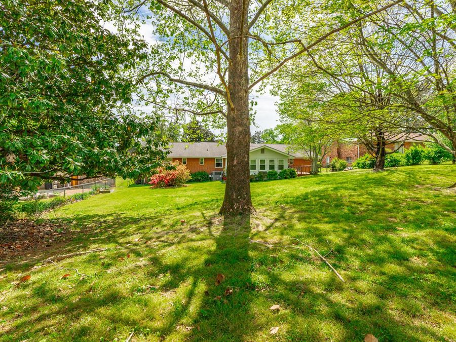 Property Image 65