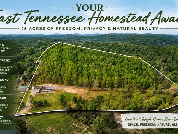 335 County Road 188, Decatur, TN 37322
