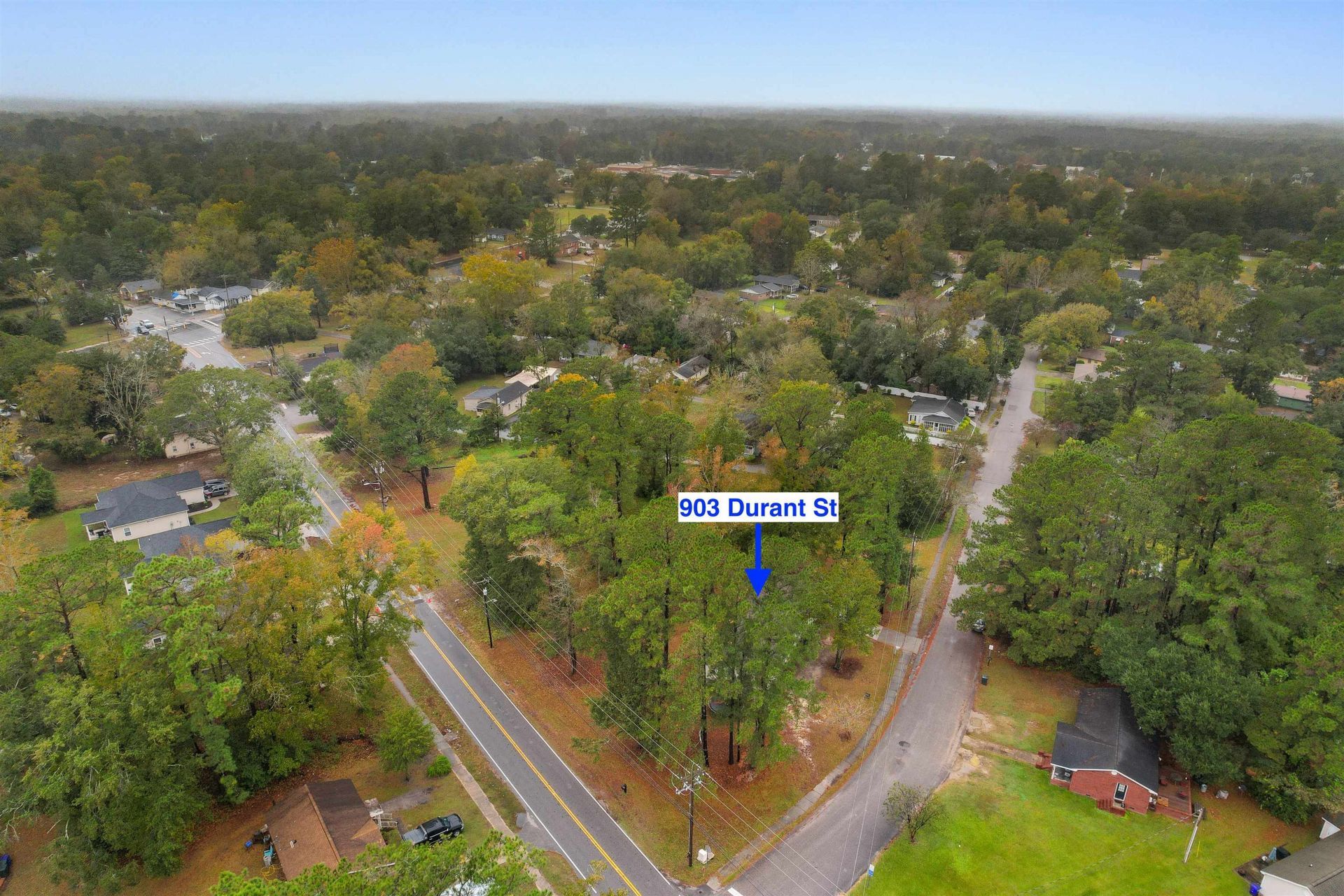 903 Durant St.  Photo 36