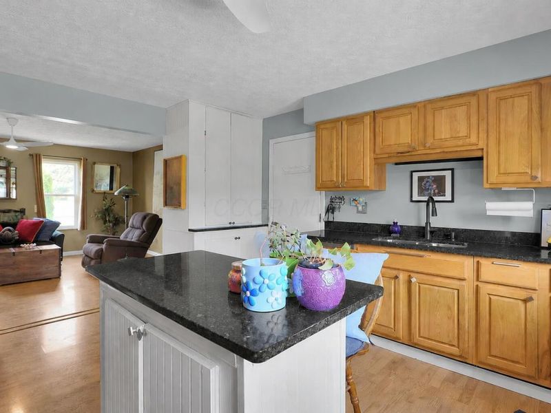 841 S Old 3C Road, Sunbury, OH 43074 Photo 10