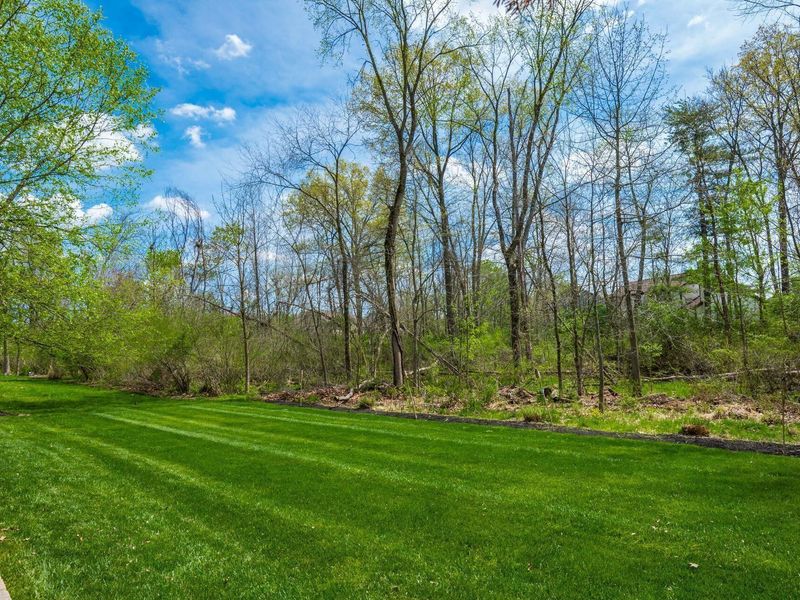 203 Wagon Trail S, Powell, OH 43065 Photo 51