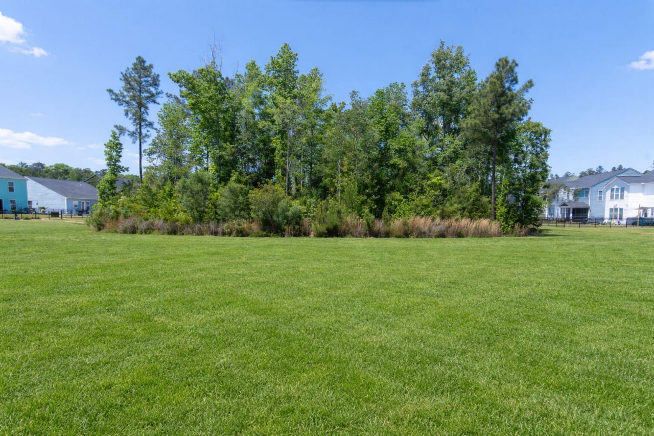 1016 Swamp Harrier Avenue Photo 41