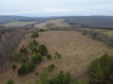 0 Moulton Road, Cuba, NY 14727