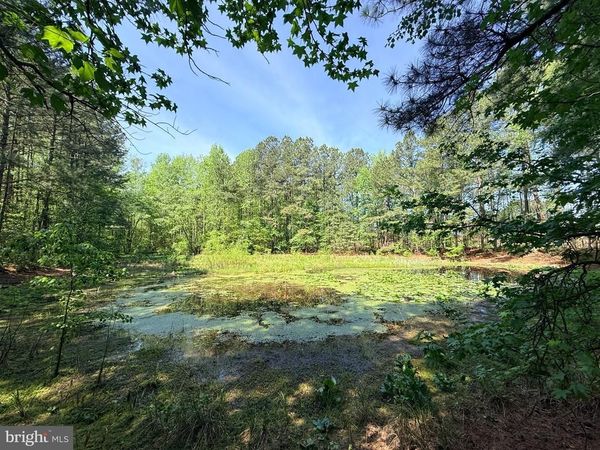 Lot 96 STURGEON ROAD, LAWRENCEVILLE, VA 23868