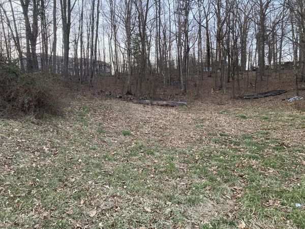 0 Plain View AVE, Roanoke, VA 24019
