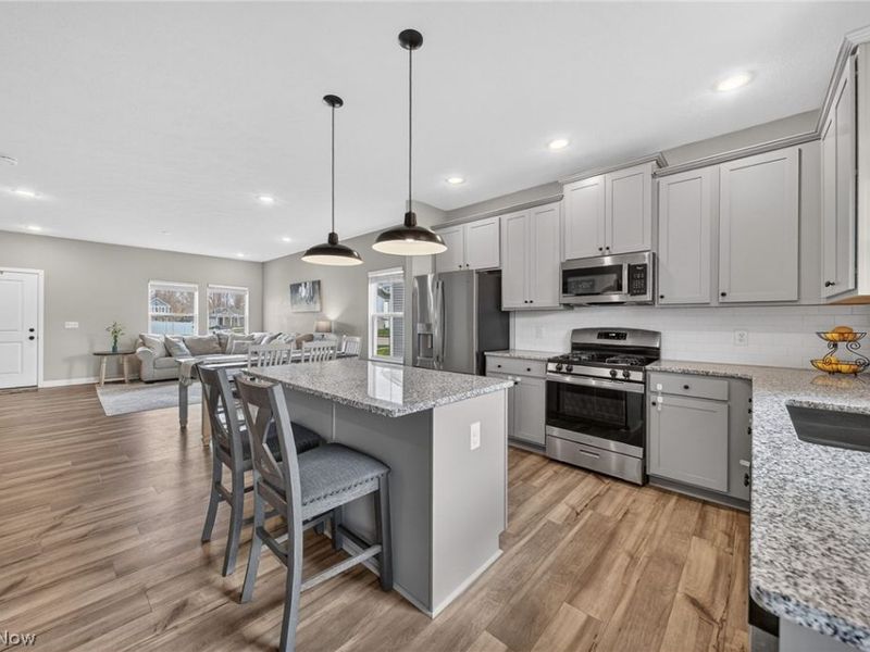 224 Harvest Way, Elyria, OH 44035 Photo 4