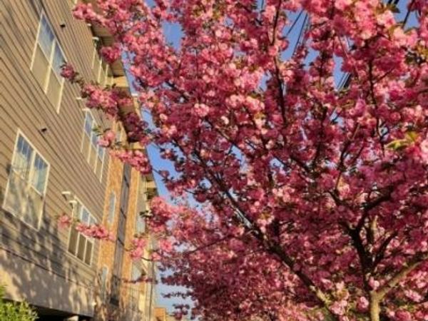 594 Jefferson Ave, Elizabeth, NJ 07201