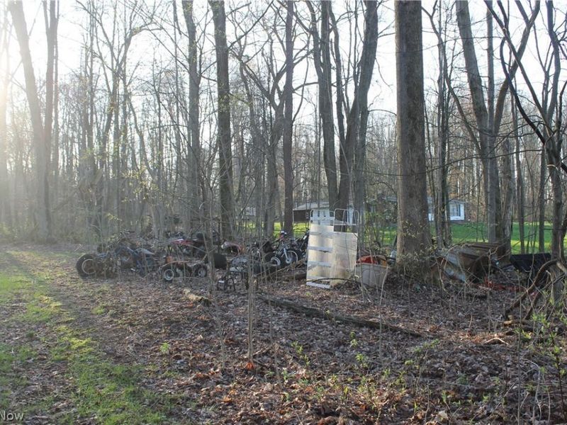 11481 State Route 44, Mantua, OH 44255 Photo 24