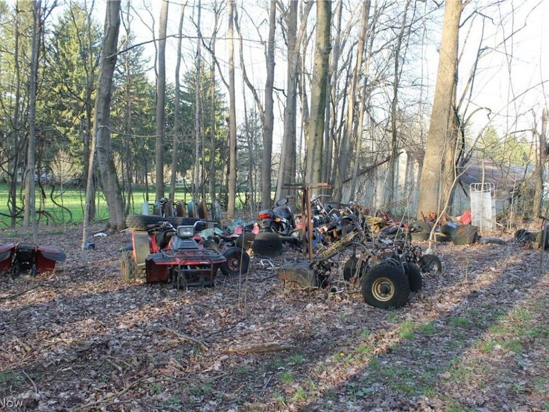 11481 State Route 44, Mantua, OH 44255 Photo 25