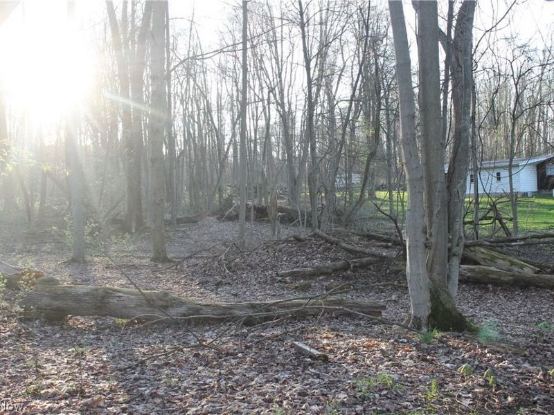 11481 State Route 44, Mantua, OH 44255 Photo 26