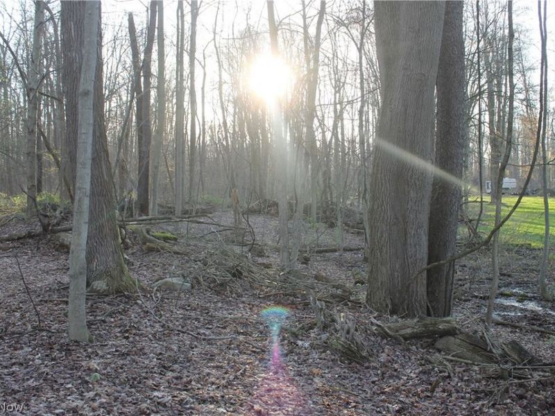 11481 State Route 44, Mantua, OH 44255 Photo 27