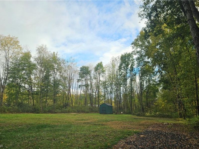 10088 Knowlton Road, Garrettsville, OH 44231 Photo 3