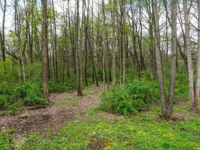 10088 Knowlton Road, Garrettsville, OH 44231 Photo 9