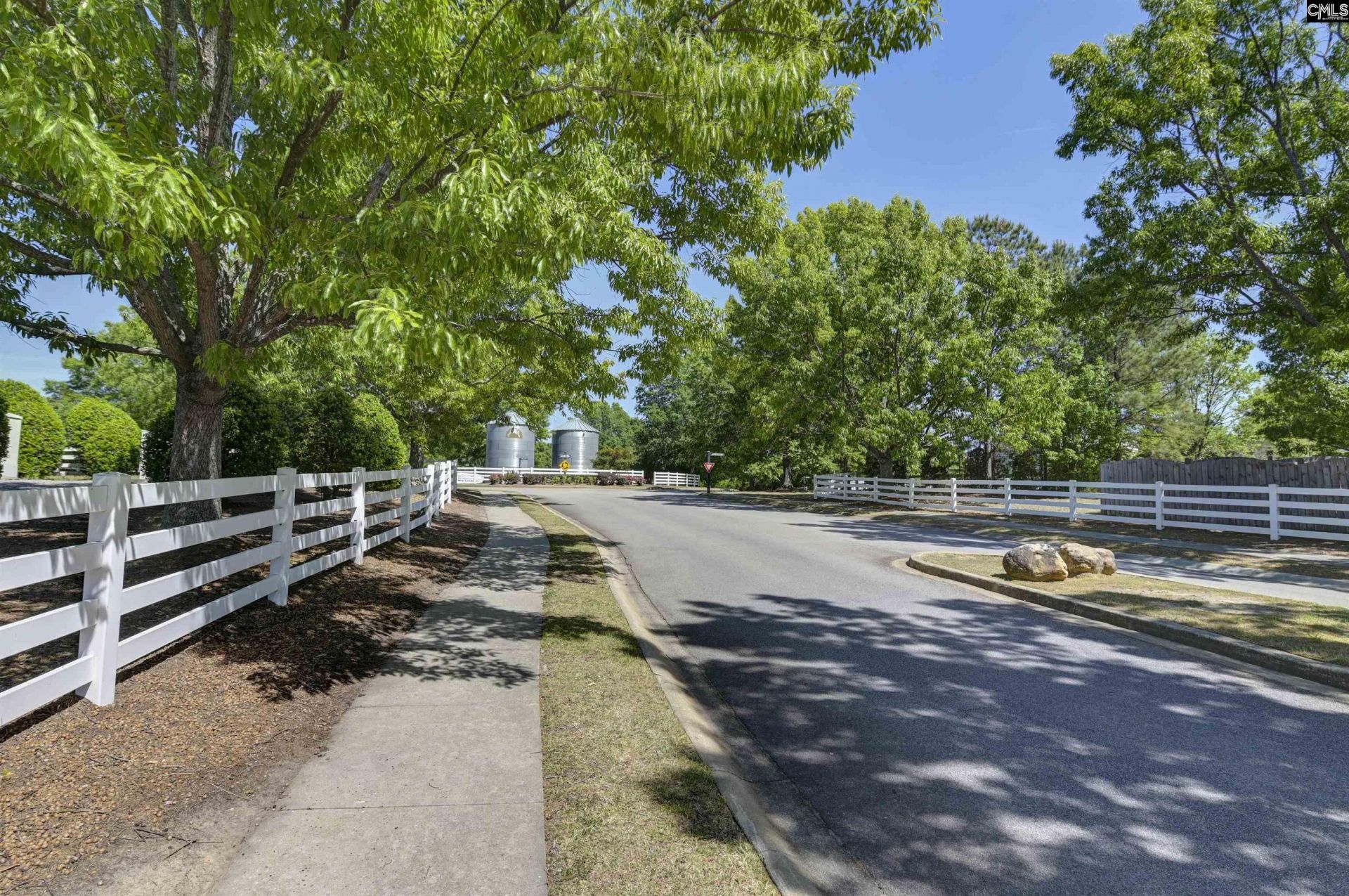 207 Bantam Place  Photo 31