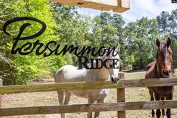 146 Williams Road  photo 4